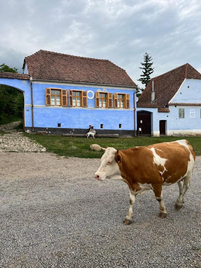 Viscri 32 - White Barn And Blue House Hotel Buitenkant foto